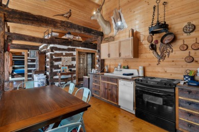 Authentic, one of a kind, true log cabin on Clear Creek brings - photo 10