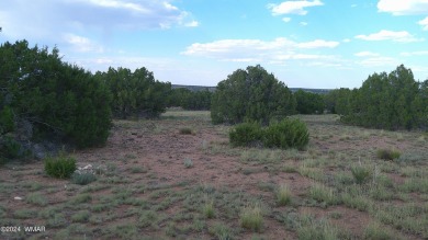 Concho Lake Lot For Sale in Concho Arizona