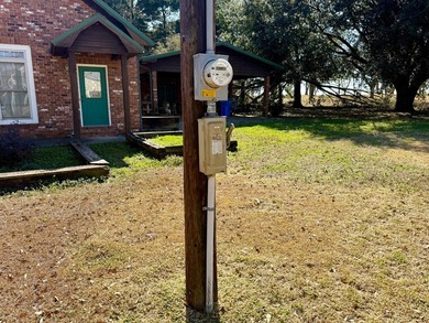 This Lake Bruin 100' lot has a 500 sf outdoor kitchen with roll - photo 4