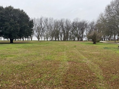This Lake Bruin 100' lot has a 500 sf outdoor kitchen with roll - photo 6