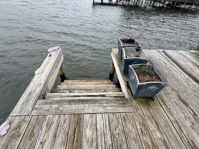 This Lake Bruin 100' lot has a 500 sf outdoor kitchen with roll - photo 10