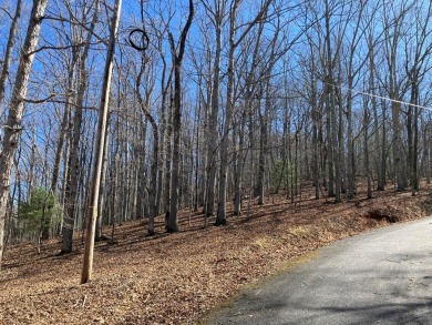 Lake Chatuge Lot For Sale in Warne North Carolina