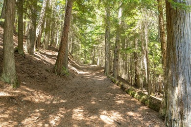 This rare private inholding within Glacier National Park - photo 26