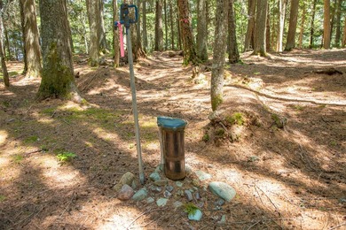 This rare private inholding within Glacier National Park - photo 28