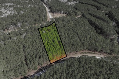 Strom Thurmond / Clarks Hill Lake Acreage For Sale in Tignall Georgia