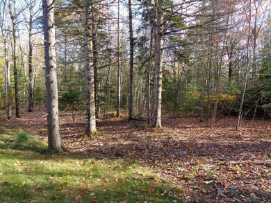 This charming and colorful Ranch, in a rural subdivision, offers - photo 33