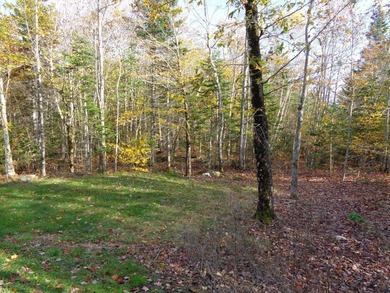 This charming and colorful Ranch, in a rural subdivision, offers - photo 34