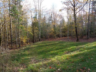 This charming and colorful Ranch, in a rural subdivision, offers - photo 35