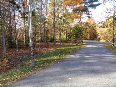This charming and colorful Ranch, in a rural subdivision, offers - photo 36