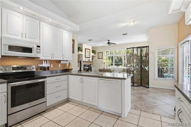 Pride of ownership shines throughout this impeccable Riverhaven - photo 8