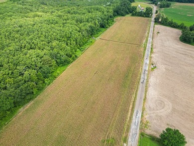 Affordable Mississippi Delta Duck & Deer Hunting Land for - photo 2