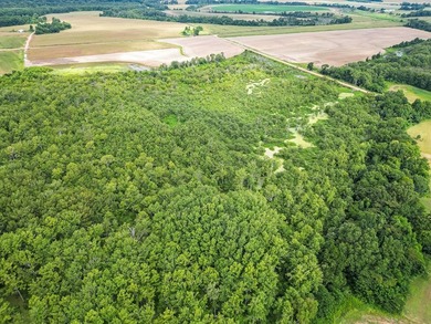 Affordable Mississippi Delta Duck & Deer Hunting Land for - photo 3
