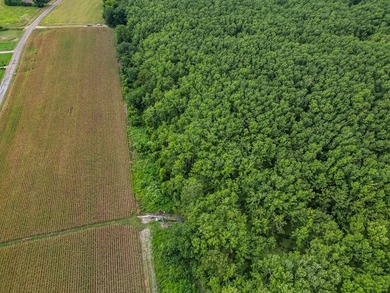 Affordable Mississippi Delta Duck & Deer Hunting Land for - photo 4