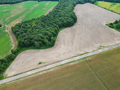 Affordable Mississippi Delta Duck & Deer Hunting Land for - photo 5