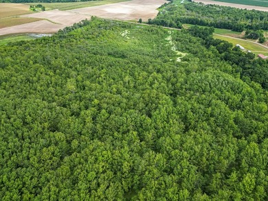 Affordable Mississippi Delta Duck & Deer Hunting Land for - photo 6