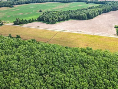 Affordable Mississippi Delta Duck & Deer Hunting Land for - photo 7