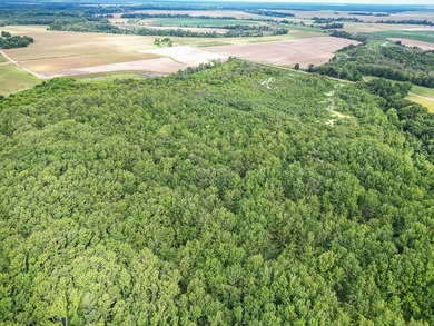 Affordable Mississippi Delta Duck & Deer Hunting Land for - photo 9