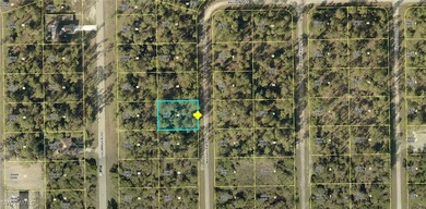 Lehigh Acres Area Lot For Sale in Lehigh Acres Florida