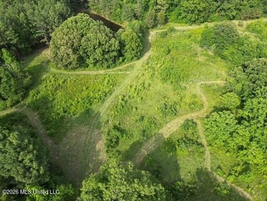 Welcome to this beautiful 52-acre property located in Slayden - photo 4