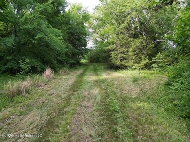 Welcome to this beautiful 52-acre property located in Slayden - photo 9