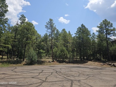 Rainbow Lake Lot For Sale in Lakeside Arizona