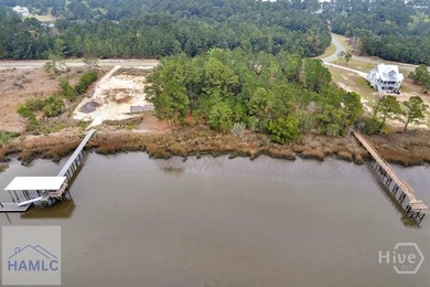 Dolphin Island is a premier private gated community in Liberty - photo 3