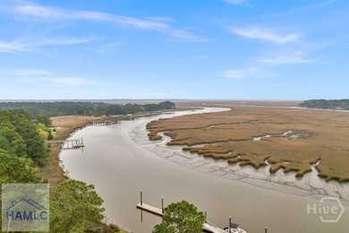 Dolphin Island is a premier private gated community in Liberty - photo 5