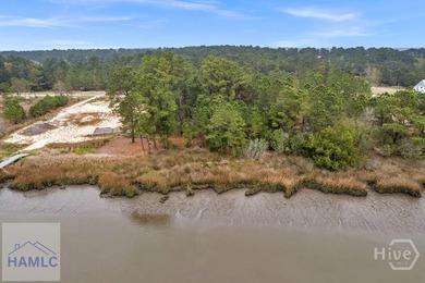 Dolphin Island is a premier private gated community in Liberty - photo 6