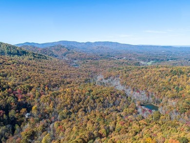 (private lake, pond, coastal) Lot For Sale in Murphy North Carolina