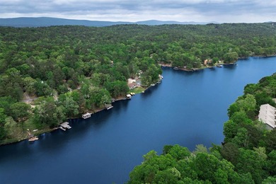 Lake living in HSV! So many options for this mid-century beauty - photo 38