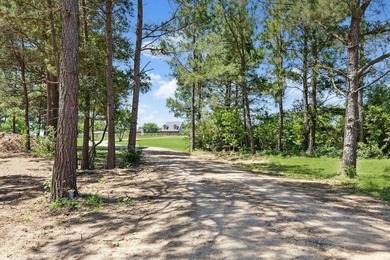 (private lake, pond, creek) Home For Sale in Sealy Texas