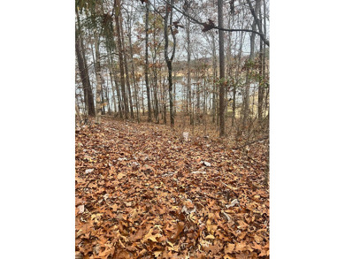 Absolutely beautiful waterfront lot there will be no steps to - photo 3