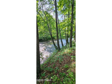 (private lake, pond, creek) Lot For Sale in Equinunk Pennsylvania