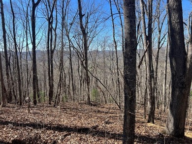 Lake Chatuge Acreage For Sale in Hayesville North Carolina