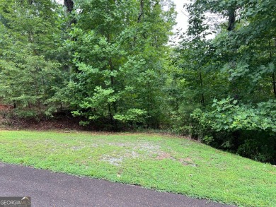 Carters Lake Acreage For Sale in Ellijay Georgia