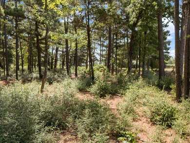 Check out these wooded tracts in a great location! Situated - photo 11