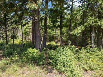 Check out these wooded tracts in a great location! Situated - photo 15