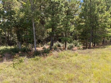 Check out these wooded tracts in a great location! Situated - photo 17