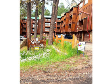 Discover Your Mountain Retreat at Windchime 206! Nestled just a - photo 17
