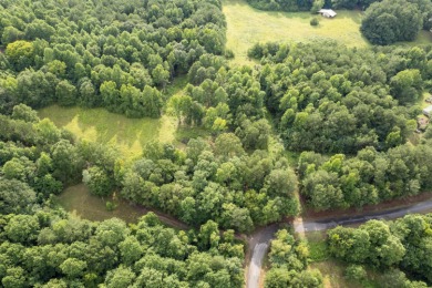 4+ unrestricted acres on gorgeous Smith  Lake featuring 228ft of - photo 6