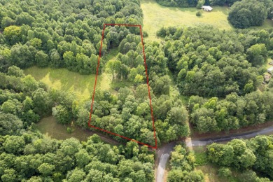 4+ unrestricted acres on gorgeous Smith  Lake featuring 228ft of - photo 7