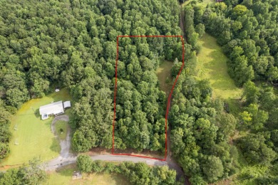 4+ unrestricted acres on gorgeous Smith  Lake featuring 228ft of - photo 9