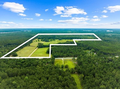 Experience the ultimate in privacy and tranquility with this - photo 3