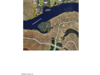 Lake Lot For Sale in Alva, Florida