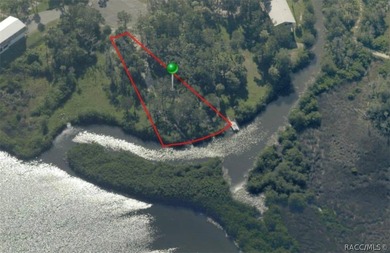 Saint Martins River Lot For Sale in Crystal River Florida