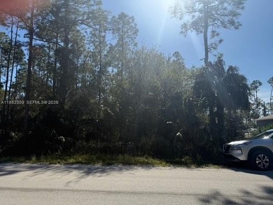 Lehigh Acres Area Lot For Sale in Other City - In The State Of Florida Florida