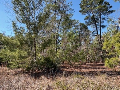Located in the deed restricted community of Sugarmill Woods - - photo 1