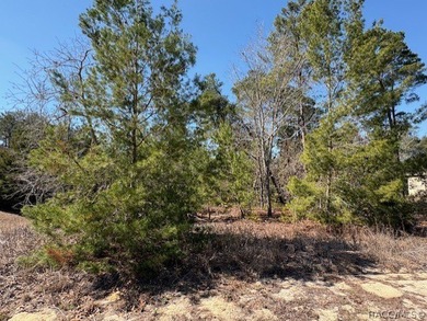 Located in the deed restricted community of Sugarmill Woods - - photo 2