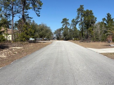 Located in the deed restricted community of Sugarmill Woods - - photo 3