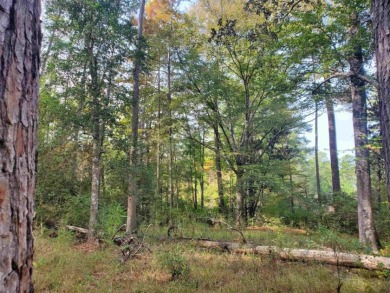 Lake Sam Rayburn  Lot For Sale in Burkeville Texas
